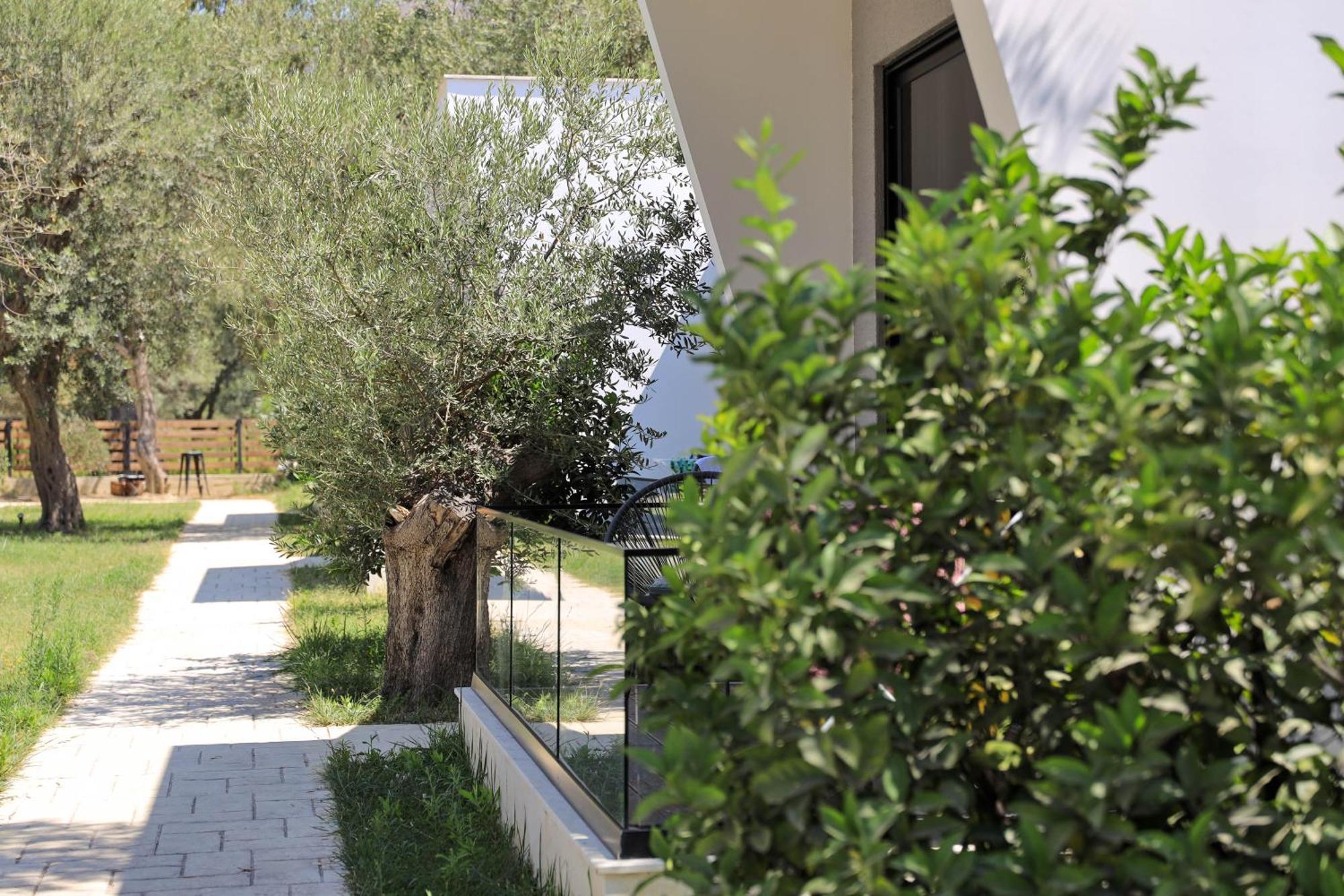 Luna Mare Boutique Seaside Борш Екстериор снимка